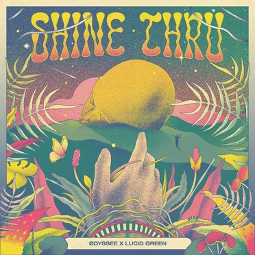shine thru