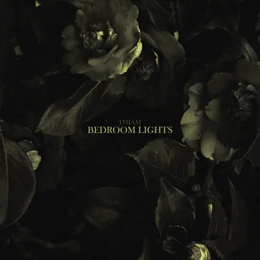 Bedroom Lights by Thiam - album cover
