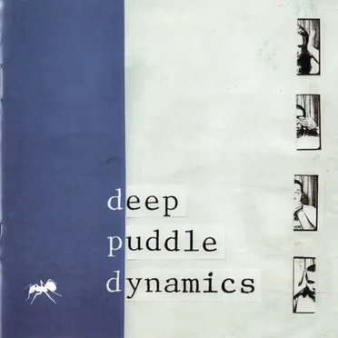 Deep Puddle Dynamics