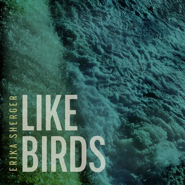 Like Birds by Erika Sherger - album cover