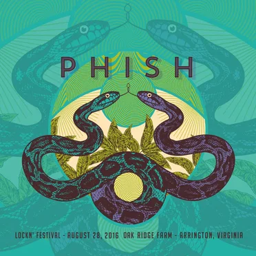 2016‐08‐28: Lockn’ Festival, Arrington, VA, USA