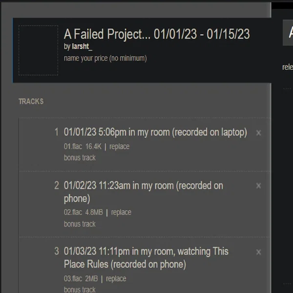 A Failed Project… 01/01/23 – 01/15/23