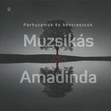 Párhuzamok és kontrasztok