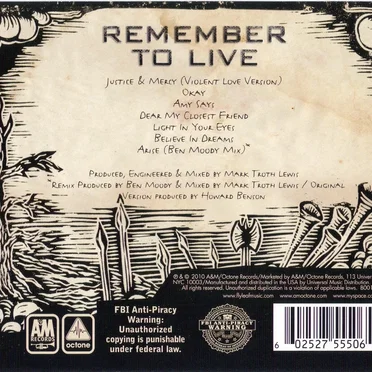 Remember to Live by Flyleaf - album cover