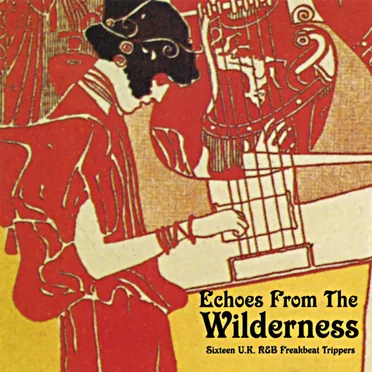 Echoes From the Wilderness: Sixteen U.K. R&B Freakbeat Trippers by Various Artists - album cover