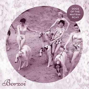 Dogs of the Matriarchy