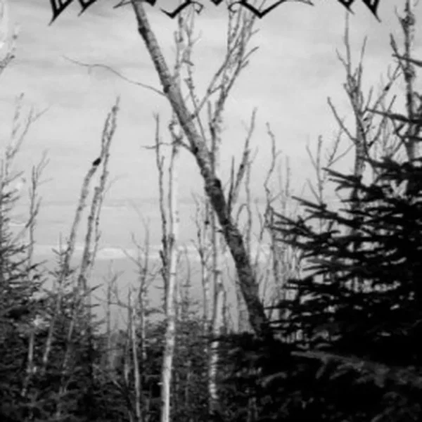 Wendess