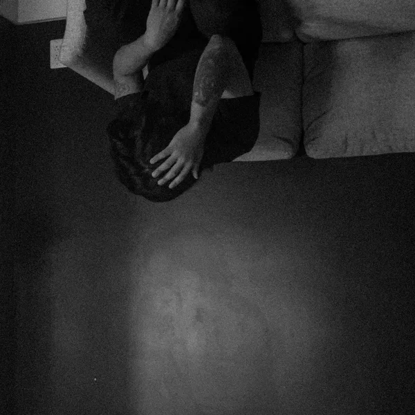 Sombras de la Noche
