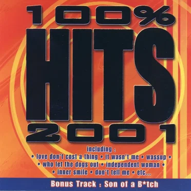 100% Hits 2001 by Various Artists - album cover
