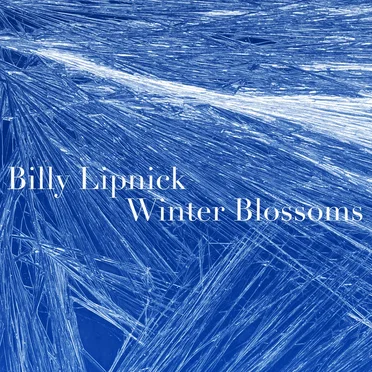 Winter Blossoms by Billy Lipnick - album cover