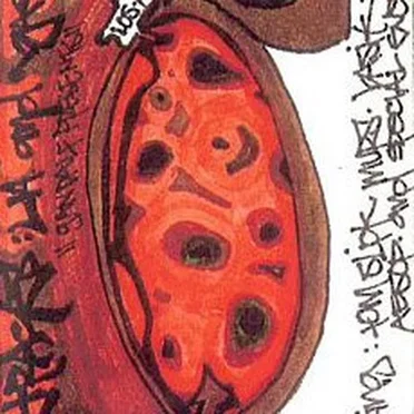 Four Tracks: LA and Back