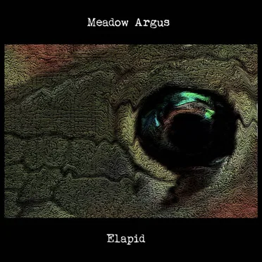 Elapid