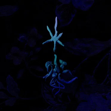 1000 ánimas by 1000 Ánimas - album cover