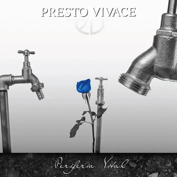 Periferia vital