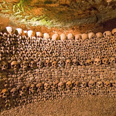 Arched Cellar