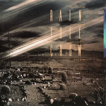 Rain Tree Crow by Rain Tree Crow - album cover