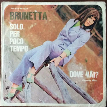Solo Per Poco Tempo / Dove Vai?
