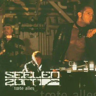 Töte Alles by Seelenzorn - album cover