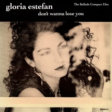 Don't Wanna Lose You