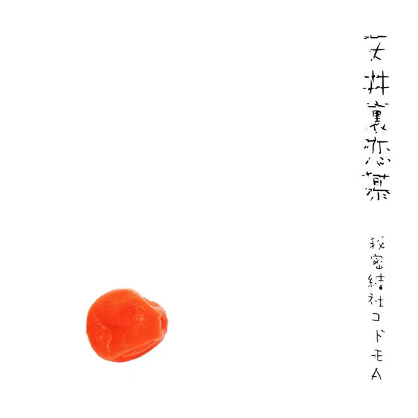 天井裏恋慕