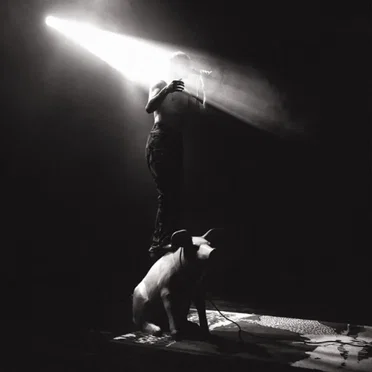 Piglet Live