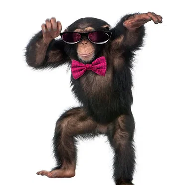 The Monkey Dance