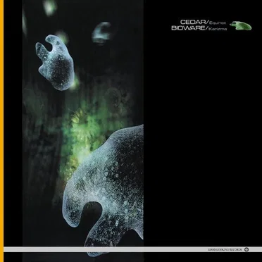 Equinox / Karizma