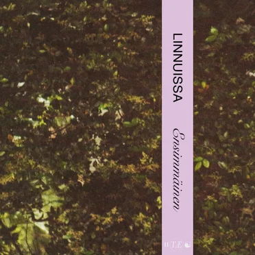 Ensimmäinen by Linnuissa - album cover