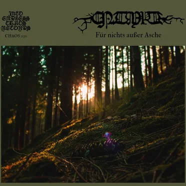 Für nichts außer Asche by CNTMPT - album cover