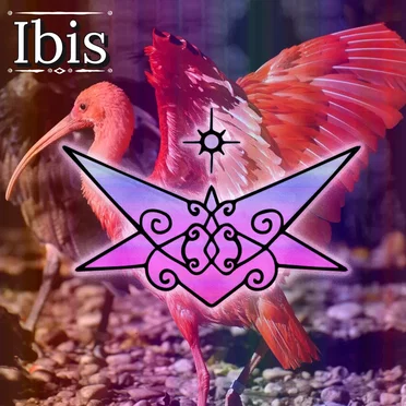 Ibis by Jesse Fox - album cover