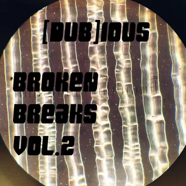 Broken Breaks, Vol. 2