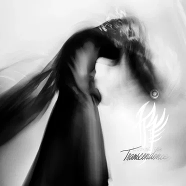 Looking for Transcendence by Indigo Raven - album cover
