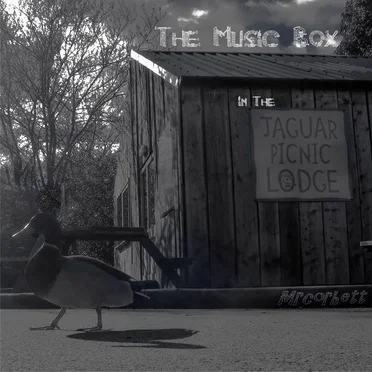 The Music Box In The Jaguar Picnic Lodge
