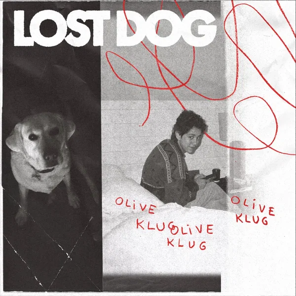 Lost Dog