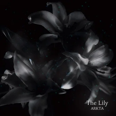 The Lily