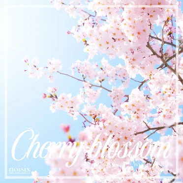 Cherry Blossom by Weekly Piano - album cover