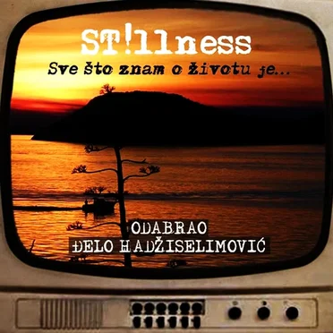 Sve što znam o životu je.. Odabrao Đelo Hadžiselimović by ST!llness - album cover