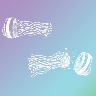 In Stereo by Tiger Village - album cover