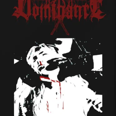 Sodomize with Steel by Dominance - album cover