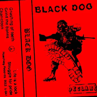 Demo II