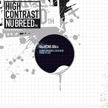 Not Too Late / Prime of Life (Remixes)