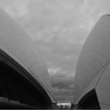 Auricular / Spot the Flicker Feral Creature