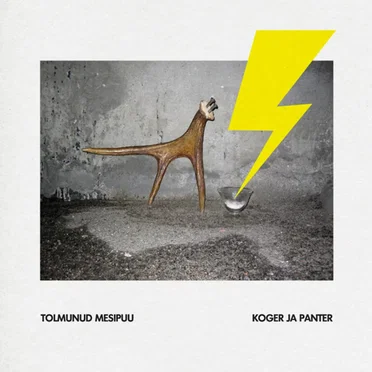 Koger ja panter by Tolmunud Mesipuu - album cover