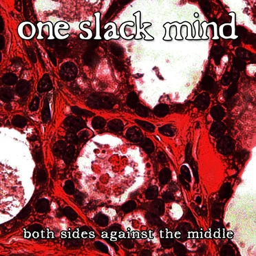 Both Sides Against the Middle by One Slack Mind - album cover