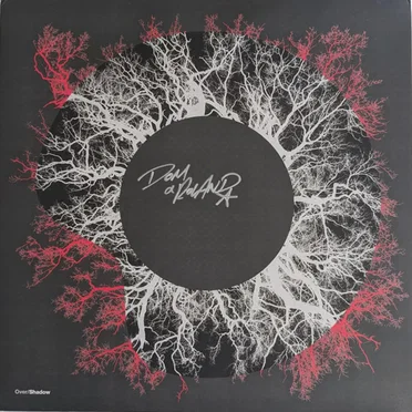 Fever Nights / Stingray