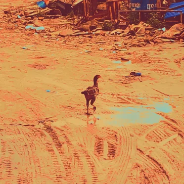 今もこうして/ Delve