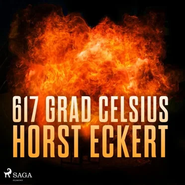617 Grad Celsius by Horst Eckert - album cover