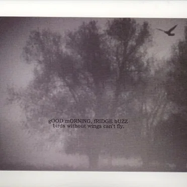 birds without wings can't fly by gOOD mORNING, fRIDGE bUZZ - album cover