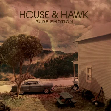 Pure Emotion by House & Hawk - album cover
