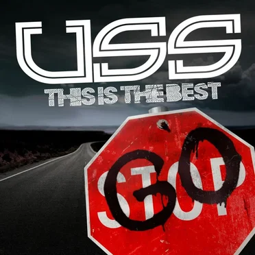 This Is The Best by Ubiquitous Synergy Seeker - album cover